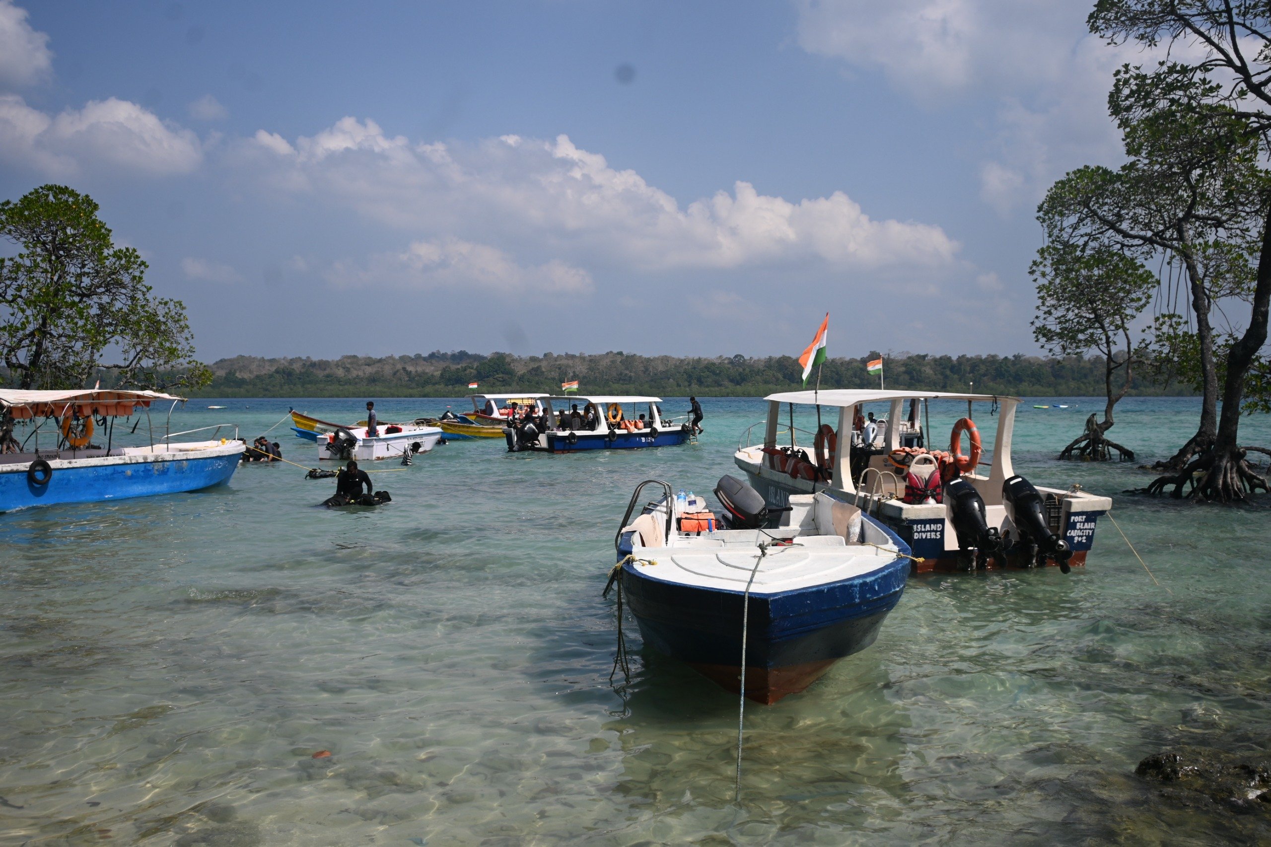 f4ca5667-271b-4731-8664-f7a134af7219