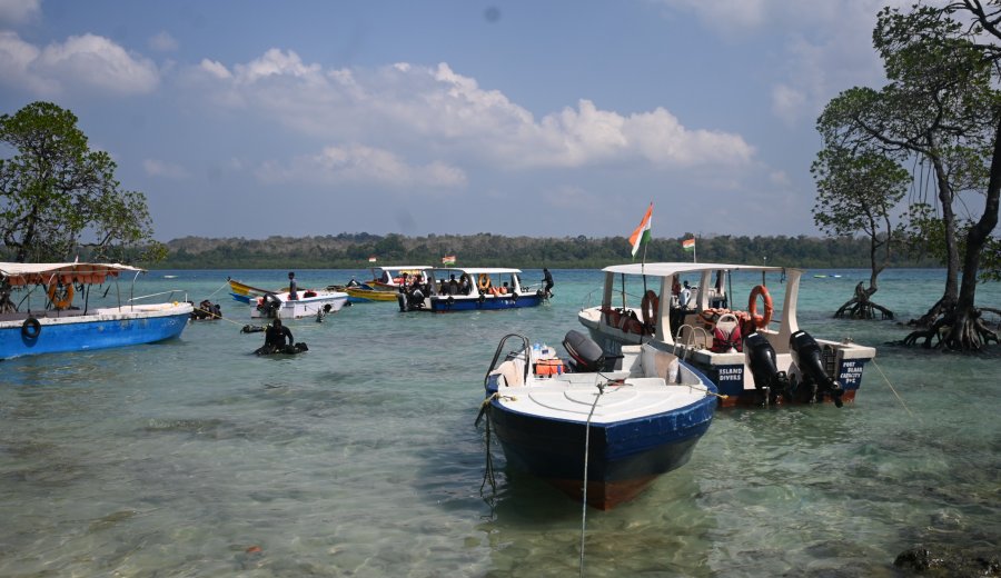 Havelock Island Scuba Diving – Explore the Andaman Sea with Island Nomads